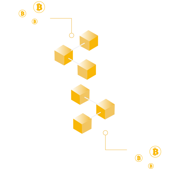 Crypto Info
